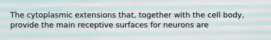 The cytoplasmic extensions that, together with the cell body, provide the main receptive surfaces for neurons are