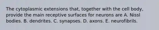 The cytoplasmic extensions that, together with the cell body, provide the main receptive surfaces for neurons are A. Nissl bodies. B. dendrites. C. synapses. D. axons. E. neurofibrils.