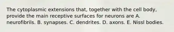 The cytoplasmic extensions that, together with the cell body, provide the main receptive surfaces for neurons are A. neurofibrils. B. synapses. C. dendrites. D. axons. E. Nissl bodies.