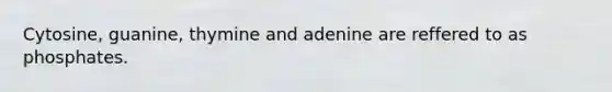 Cytosine, guanine, thymine and adenine are reffered to as phosphates.