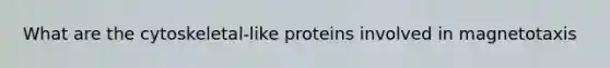 What are the cytoskeletal-like proteins involved in magnetotaxis