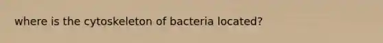 where is the cytoskeleton of bacteria located?