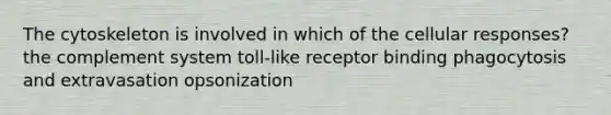 The cytoskeleton is involved in which of the cellular responses? the complement system toll-like receptor binding phagocytosis and extravasation opsonization