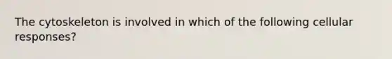 The cytoskeleton is involved in which of the following cellular responses?