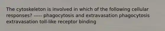 The cytoskeleton is involved in which of the following cellular responses? ----- phagocytosis and extravasation phagocytosis extravasation toll-like receptor binding