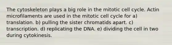 The cytoskeleton plays a big role in the mitotic cell cycle. Actin microfilaments are used in the mitotic cell cycle for a) translation. b) pulling the sister chromatids apart. c) transcription. d) replicating the DNA. e) dividing the cell in two during cytokinesis.