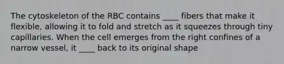 The cytoskeleton of the RBC contains ____ fibers that make it flexible, allowing it to fold and stretch as it squeezes through tiny capillaries. When the cell emerges from the right confines of a narrow vessel, it ____ back to its original shape