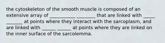 the cytoskeleton of the smooth muscle is composed of an extensive array of ___________ ________ that are linked with _____ _______ at points where they interact with the sarcoplasm, and are linked with ______ ______ at points where they are linked on the inner surface of the sarcolemma.