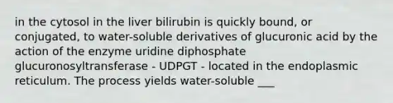 in the cytosol in the liver bilirubin is quickly bound, or conjugated, to water-soluble derivatives of glucuronic acid by the action of the enzyme uridine diphosphate glucuronosyltransferase - UDPGT - located in the endoplasmic reticulum. The process yields water-soluble ___