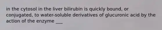 in the cytosol in the liver bilirubin is quickly bound, or conjugated, to water-soluble derivatives of glucuronic acid by the action of the enzyme ___