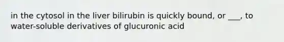 in the cytosol in the liver bilirubin is quickly bound, or ___, to water-soluble derivatives of glucuronic acid