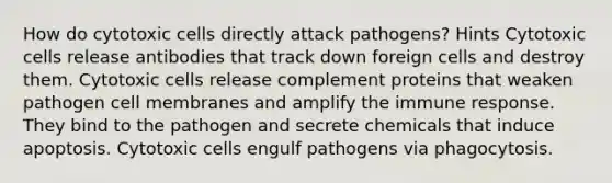 How do cytotoxic cells directly attack pathogens? Hints Cytotoxic cells release antibodies that track down foreign cells and destroy them. Cytotoxic cells release complement proteins that weaken pathogen cell membranes and amplify the immune response. They bind to the pathogen and secrete chemicals that induce apoptosis. Cytotoxic cells engulf pathogens via phagocytosis.