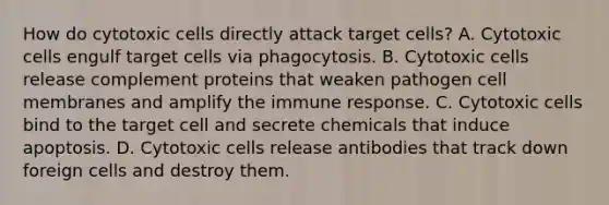 How do cytotoxic cells directly attack target cells? A. Cytotoxic cells engulf target cells via phagocytosis. B. Cytotoxic cells release complement proteins that weaken pathogen cell membranes and amplify the immune response. C. Cytotoxic cells bind to the target cell and secrete chemicals that induce apoptosis. D. Cytotoxic cells release antibodies that track down foreign cells and destroy them.