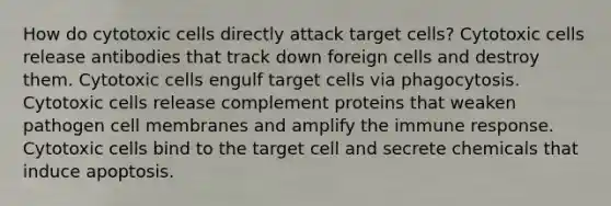 How do cytotoxic cells directly attack target cells? Cytotoxic cells release antibodies that track down foreign cells and destroy them. Cytotoxic cells engulf target cells via phagocytosis. Cytotoxic cells release complement proteins that weaken pathogen cell membranes and amplify the immune response. Cytotoxic cells bind to the target cell and secrete chemicals that induce apoptosis.