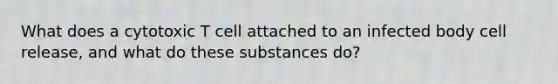 What does a cytotoxic T cell attached to an infected body cell release, and what do these substances do?