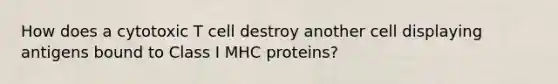 How does a cytotoxic T cell destroy another cell displaying antigens bound to Class I MHC proteins?