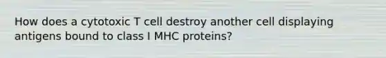 How does a cytotoxic T cell destroy another cell displaying antigens bound to class I MHC proteins?