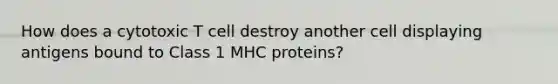 How does a cytotoxic T cell destroy another cell displaying antigens bound to Class 1 MHC proteins?