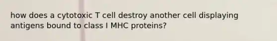 how does a cytotoxic T cell destroy another cell displaying antigens bound to class I MHC proteins?