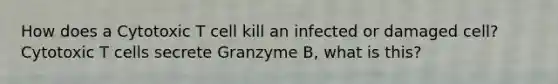 How does a Cytotoxic T cell kill an infected or damaged cell? Cytotoxic T cells secrete Granzyme B, what is this?