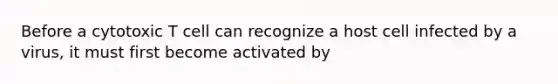 Before a cytotoxic T cell can recognize a host cell infected by a virus, it must first become activated by