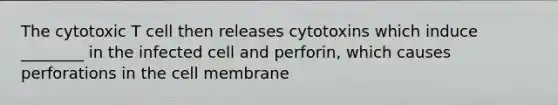 The cytotoxic T cell then releases cytotoxins which induce ________ in the infected cell and perforin, which causes perforations in the cell membrane