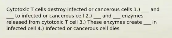 Cytotoxic T cells destroy infected or cancerous cells 1.) ___ and ___ to infected or cancerous cell 2.) ___ and ___ enzymes released from cytotoxic T cell 3.) These enzymes create ___ in infected cell 4.) Infected or cancerous cell dies