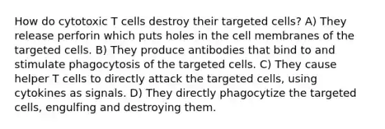 How do cytotoxic T cells destroy their targeted cells? A) They release perforin which puts holes in the cell membranes of the targeted cells. B) They produce antibodies that bind to and stimulate phagocytosis of the targeted cells. C) They cause helper T cells to directly attack the targeted cells, using cytokines as signals. D) They directly phagocytize the targeted cells, engulfing and destroying them.