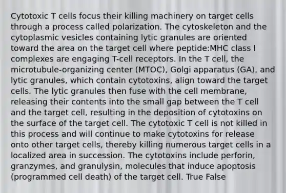 Cytotoxic T cells focus their killing machinery on target cells through a process called polarization. The cytoskeleton and the cytoplasmic vesicles containing lytic granules are oriented toward the area on the target cell where peptide:MHC class I complexes are engaging T-cell receptors. In the T cell, the microtubule-organizing center (MTOC), Golgi apparatus (GA), and lytic granules, which contain cytotoxins, align toward the target cells. The lytic granules then fuse with the cell membrane, releasing their contents into the small gap between the T cell and the target cell, resulting in the deposition of cytotoxins on the surface of the target cell. The cytotoxic T cell is not killed in this process and will continue to make cytotoxins for release onto other target cells, thereby killing numerous target cells in a localized area in succession. The cytotoxins include perforin, granzymes, and granulysin, molecules that induce apoptosis (programmed cell death) of the target cell. True False