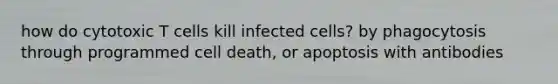 how do cytotoxic T cells kill infected cells? by phagocytosis through programmed cell death, or apoptosis with antibodies