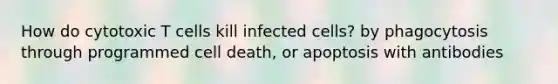 How do cytotoxic T cells kill infected cells? by phagocytosis through programmed cell death, or apoptosis with antibodies