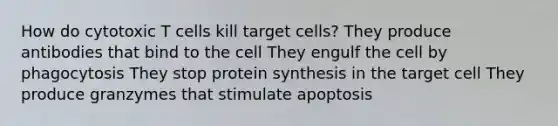 How do cytotoxic T cells kill target cells? They produce antibodies that bind to the cell They engulf the cell by phagocytosis They stop protein synthesis in the target cell They produce granzymes that stimulate apoptosis