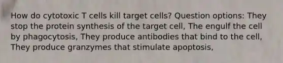 How do cytotoxic T cells kill target cells? Question options: They stop the protein synthesis of the target cell, The engulf the cell by phagocytosis, They produce antibodies that bind to the cell, They produce granzymes that stimulate apoptosis,