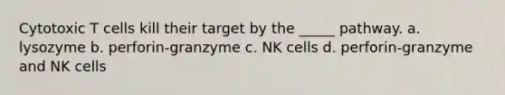 Cytotoxic T cells kill their target by the _____ pathway. a. lysozyme b. perforin-granzyme c. NK cells d. perforin-granzyme and NK cells