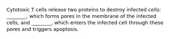 Cytotoxic T cells release two proteins to destroy infected cells: ________, which forms pores in the membrane of the infected cells, and ________, which enters the infected cell through these pores and triggers apoptosis.