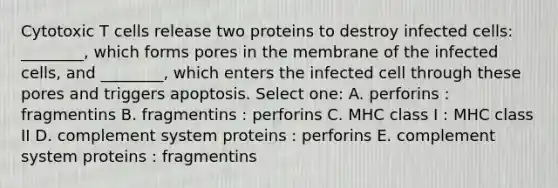 Cytotoxic T cells release two proteins to destroy infected cells: ________, which forms pores in the membrane of the infected cells, and ________, which enters the infected cell through these pores and triggers apoptosis. Select one: A. perforins : fragmentins B. fragmentins : perforins C. MHC class I : MHC class II D. complement system proteins : perforins E. complement system proteins : fragmentins