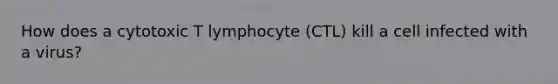 How does a cytotoxic T lymphocyte (CTL) kill a cell infected with a virus?