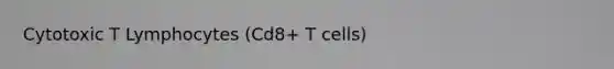 Cytotoxic T Lymphocytes (Cd8+ T cells)