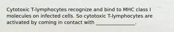 Cytotoxic T-lymphocytes recognize and bind to MHC class I molecules on infected cells. So cytotoxic T-lymphocytes are activated by coming in contact with ________________.