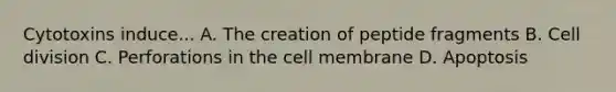 Cytotoxins induce... A. The creation of peptide fragments B. <a href='https://www.questionai.com/knowledge/kjHVAH8Me4-cell-division' class='anchor-knowledge'>cell division</a> C. Perforations in the cell membrane D. Apoptosis