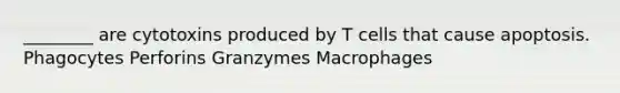 ________ are cytotoxins produced by T cells that cause apoptosis. Phagocytes Perforins Granzymes Macrophages