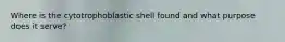 Where is the cytotrophoblastic shell found and what purpose does it serve?