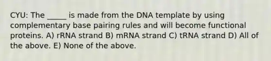 CYU: The _____ is made from the DNA template by using complementary base pairing rules and will become functional proteins. A) rRNA strand B) mRNA strand C) tRNA strand D) All of the above. E) None of the above.