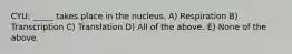 CYU: _____ takes place in the nucleus. A) Respiration B) Transcription C) Translation D) All of the above. E) None of the above.