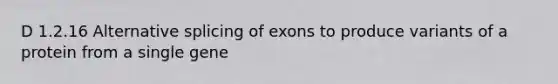 D 1.2.16 Alternative splicing of exons to produce variants of a protein from a single gene