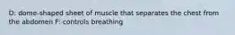 D: dome-shaped sheet of muscle that separates the chest from the abdomen F: controls breathing