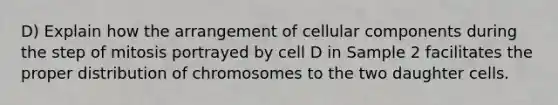 D) Explain how the arrangement of cellular components during the step of mitosis portrayed by cell D in Sample 2 facilitates the proper distribution of chromosomes to the two daughter cells.