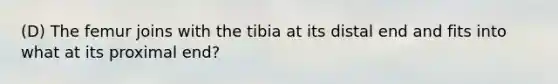 (D) The femur joins with the tibia at its distal end and fits into what at its proximal end?