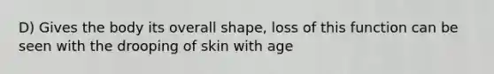 D) Gives the body its overall shape, loss of this function can be seen with the drooping of skin with age