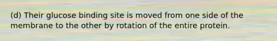 (d) Their glucose binding site is moved from one side of the membrane to the other by rotation of the entire protein.